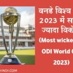 most wickets in icc odi world cup
