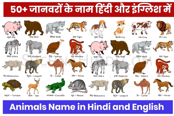 50 जानवरों के नाम हिंदी और इंग्लिश में | Animals Name in Hindi and English