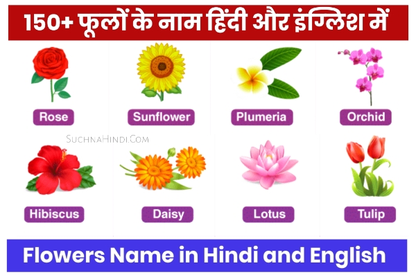 Flowers Name in Hindi and English ( 150 फूलों के नाम हिंदी इंग्लिश में)