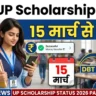 UP Scholarship Status 2026