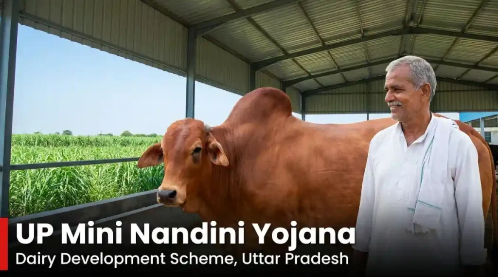 UP Mini Nandini Yojana 2025
